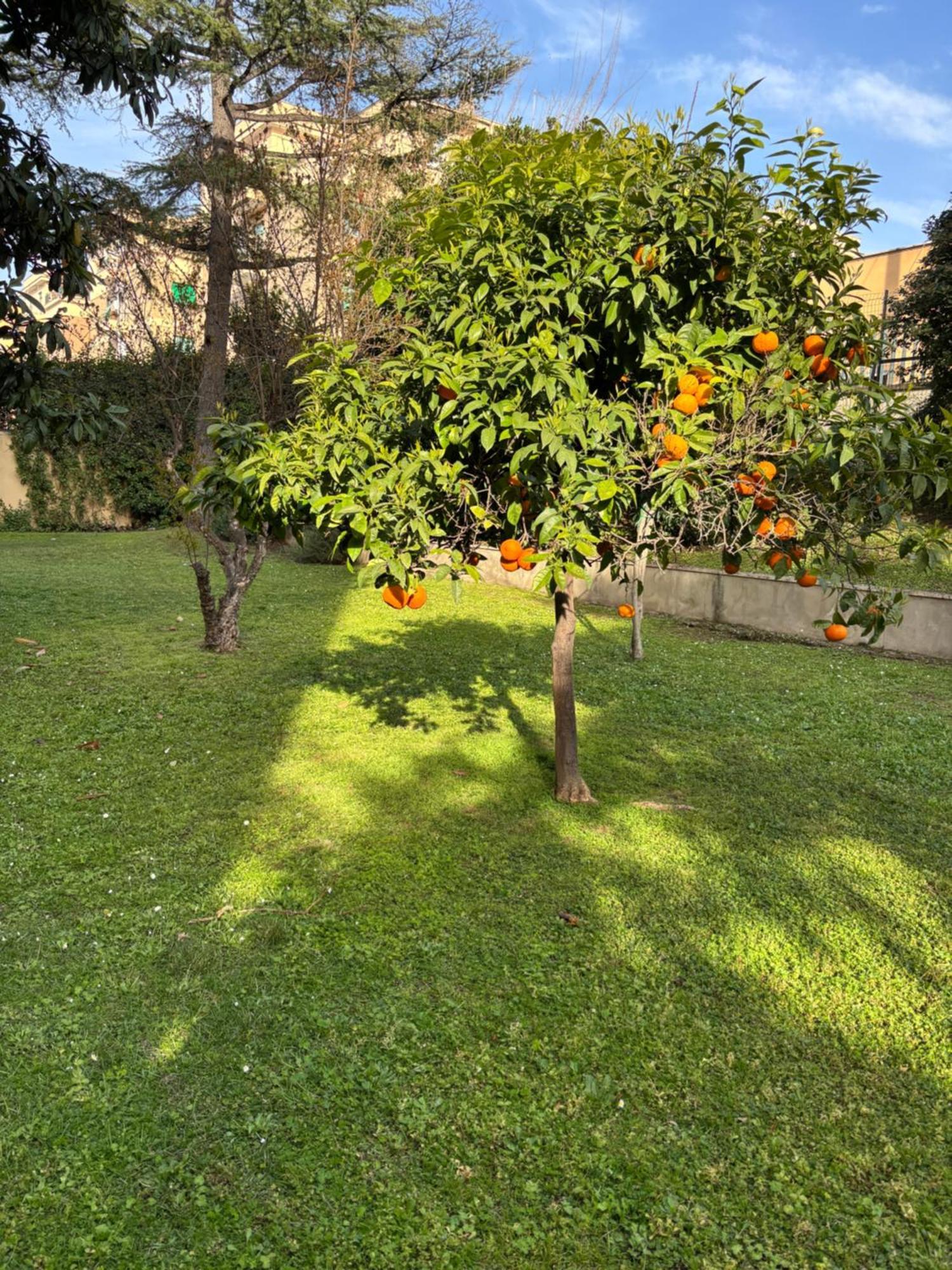 Grelly'S House - Holiday In Rome - 50 Meters From The Metro Luaran gambar
